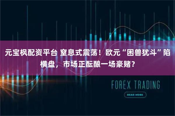 元宝枫配资平台 窒息式震荡！欧元“困兽犹斗”陷横盘，市场正酝酿一场豪赌？